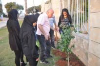 بالصور: مؤسسة الرابطة تزرع 45 شجرة حمضيات في محيط المركز الجماهيري بيافا 